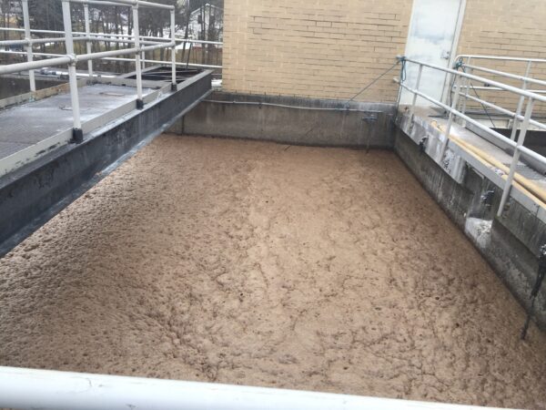 Activated Sludge: Filamentous Organisms (10/10/2025)
